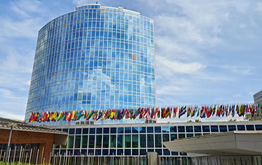 解冬副市长率团出席世界知识产权组织（WIPO）成员国大会