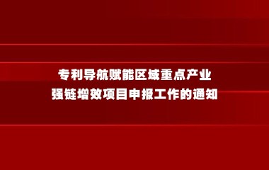 上海市知识产权局关于组织开展专利导航赋能区域重点产业强链增效项目申报工作的通知