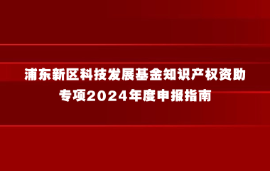 浦东新区科技发展基金知识产权资助专项2024年度申报指南