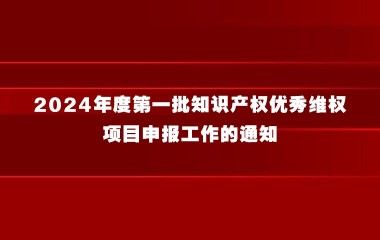 上海市知识产权局关于开展2024年度第一批知识产权优秀维权项目申报工作的通知
