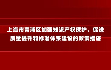 上海市青浦区加强知识产权保护、促进质量提升和标准体系建设的政策措施