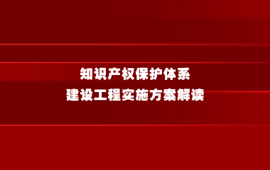 《知识产权保护体系建设工程实施方案》解读