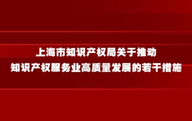 上海市知识产权局关于推动知识产权服务业高质量发展的若干措施