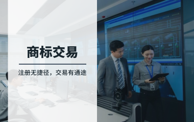 注册无捷径，交易有通途：企业商标战略的双轨选择