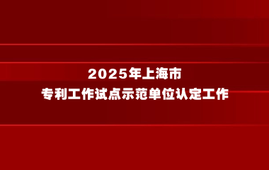 上海市知识产权局关于组织开展2025年上海市专利工作试点示范单位认定工作的通知