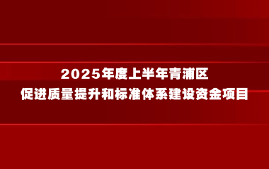 关于组织申报2025年度上半年青浦区促进质量提升和标准体系建设资金项目的通知
