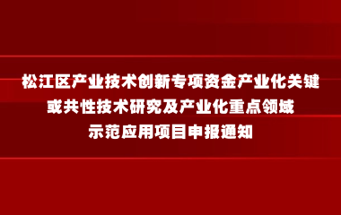 2025年度松江区产业技术创新专项资金产业化关键或共性技术研究及产业化重点领域示范应用项目申报通知