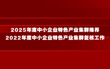 上海市经济信息化委关于组织开展2025年度中小企业特色产业集群推荐和2022年度中小企业特色产业集群复核工作的通知