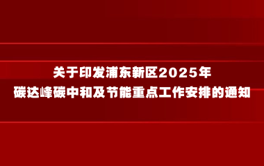 浦东新区2025年碳达峰碳中和  及节能重点工作安排