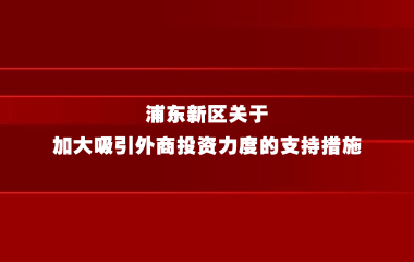 浦东新区关于加大吸引外商投资力度的支持措施