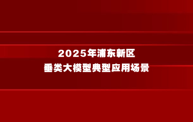 关于开展《2025年浦东新区垂类大模型典型应用场景》征集的通知