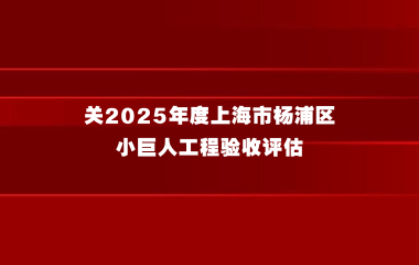 关于开展2025年度上海市杨浦区小巨人工程验收评估的通知