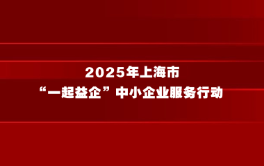 上海市经济信息化委关于开展2025年上海市 “一起益企”中小企业服务行动的通知