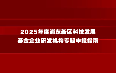 2025年度浦东新区科技发展基金企业研发机构专题申报指南