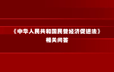 全国人大常委会法工委负责人就民营经济促进法答记者问
