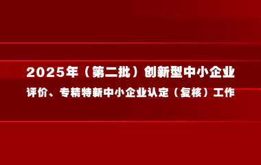杨浦区关于组织开展2025年（第二批）创新型中小企业评价、专精特新中小企业认定（复核）工作的通知