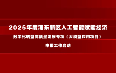 2025年度浦东新区人工智能赋能经济数字化转型高质量发展专项（大模型应用项目）申报工作启动
