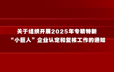 关于组织开展2025年专精特新 “小巨人”企业认定和复核工作的通知